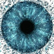 <b>物联网实验在多地启动</b>