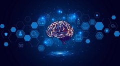 <b>成渝科技走廊建设提速，本土科技公司抢抓数字化发展机遇</b>