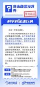 冷冻蔬菜没营养吗？丨中新真探